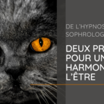 De l’hypnose à la sophrologie - Deux pratiques pour une harmonie de l’Être