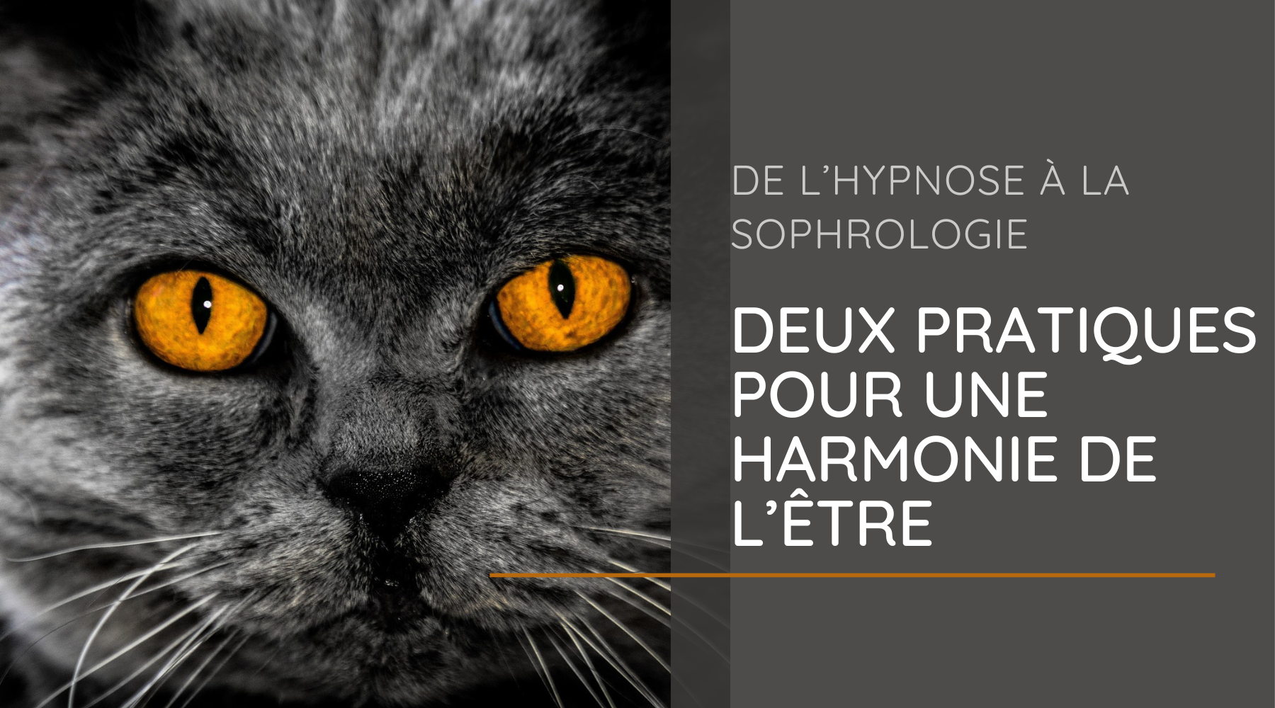 De l’hypnose à la sophrologie - Deux pratiques pour une harmonie de l’Être