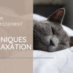 3 techniques de relaxation pour favoriser l'endormissement en douceur