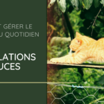 Comment gérer le stress au quotidien : 6 révélations et astuces