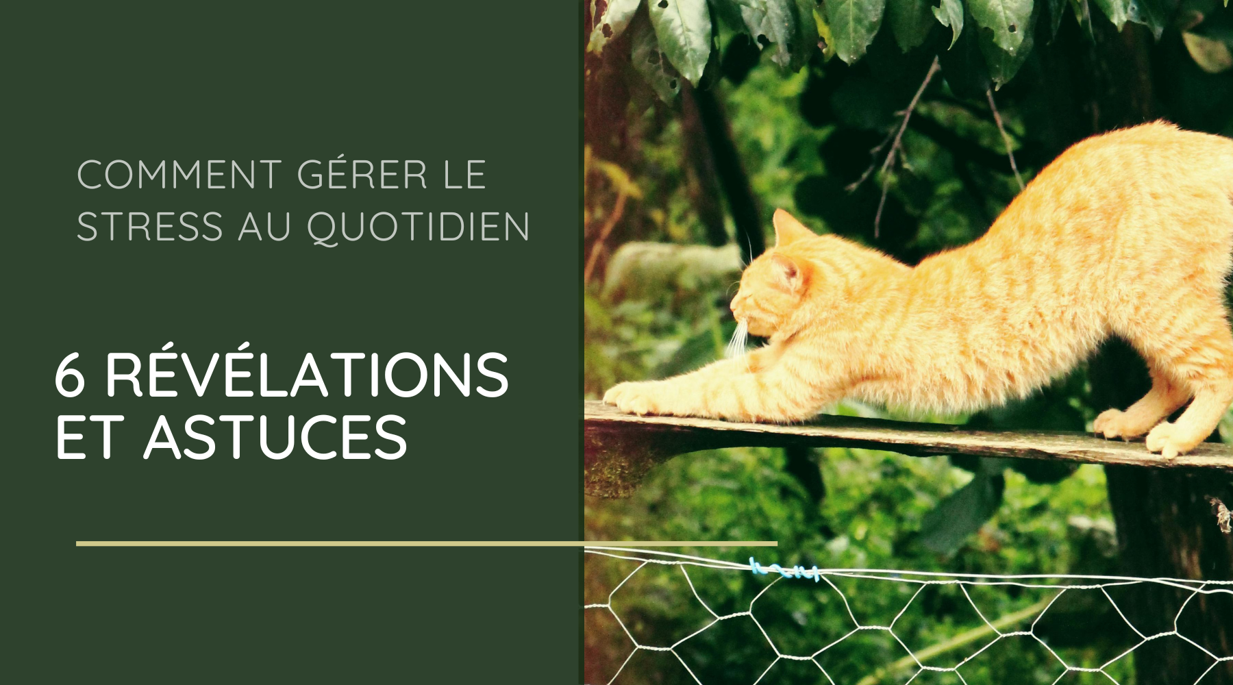 Comment gérer le stress au quotidien : 6 révélations et astuces