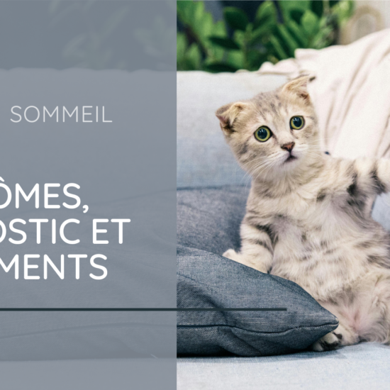 Apnée du sommeil : Symptômes, diagnostics et traitements