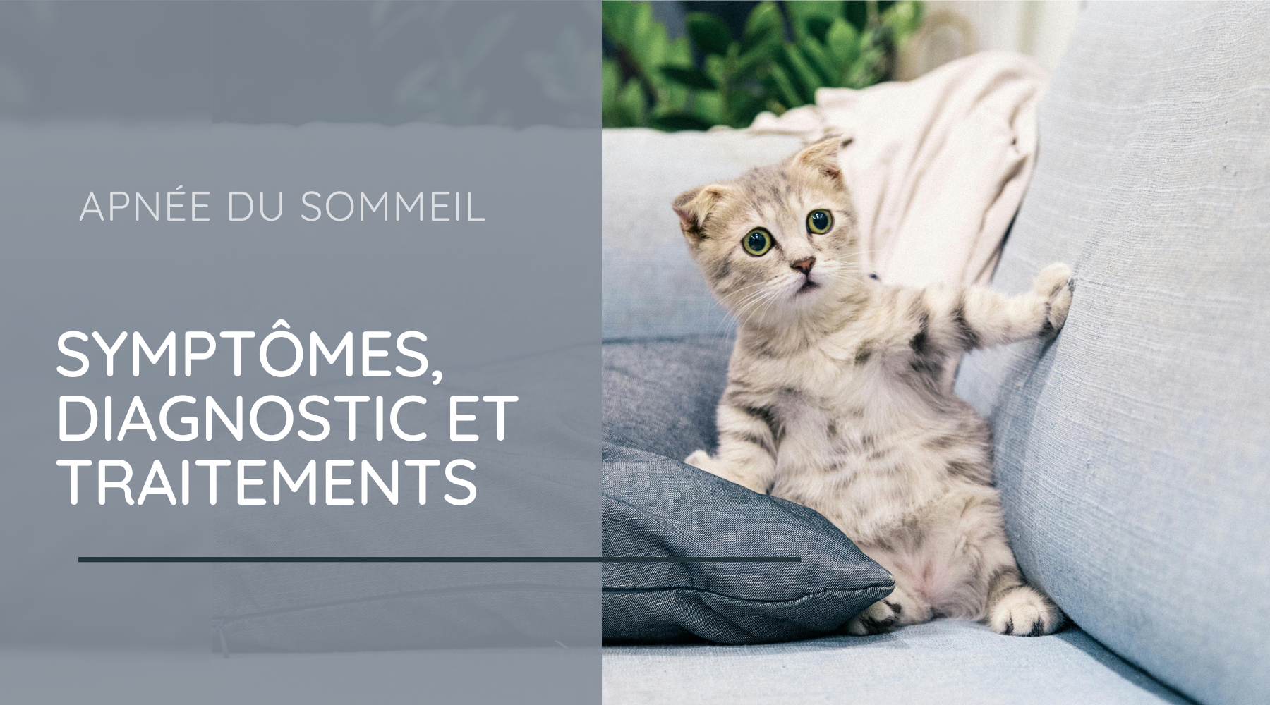 Apnée du sommeil : Symptômes, diagnostics et traitements