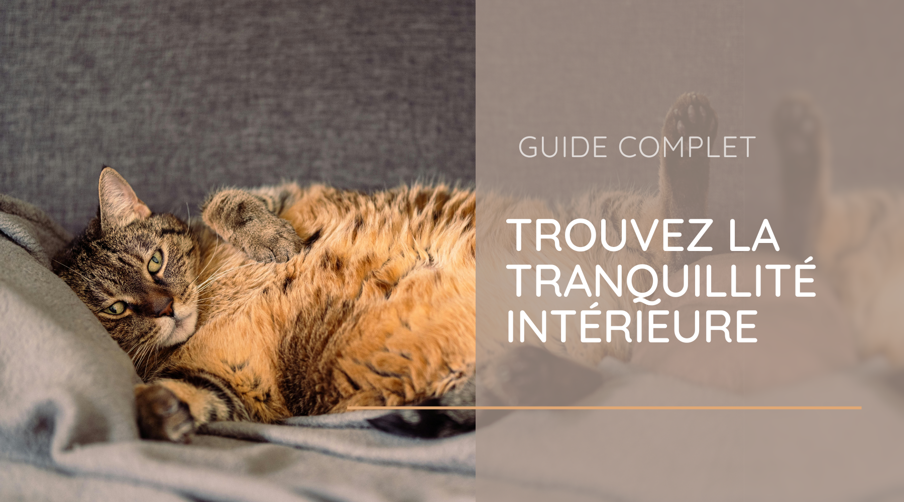 Trouvez la tranquillité intérieure avec la relaxation - votre guide indispensable