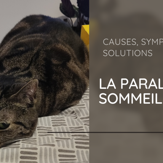 Paralysie du sommeil : Causes, symptômes et solutions