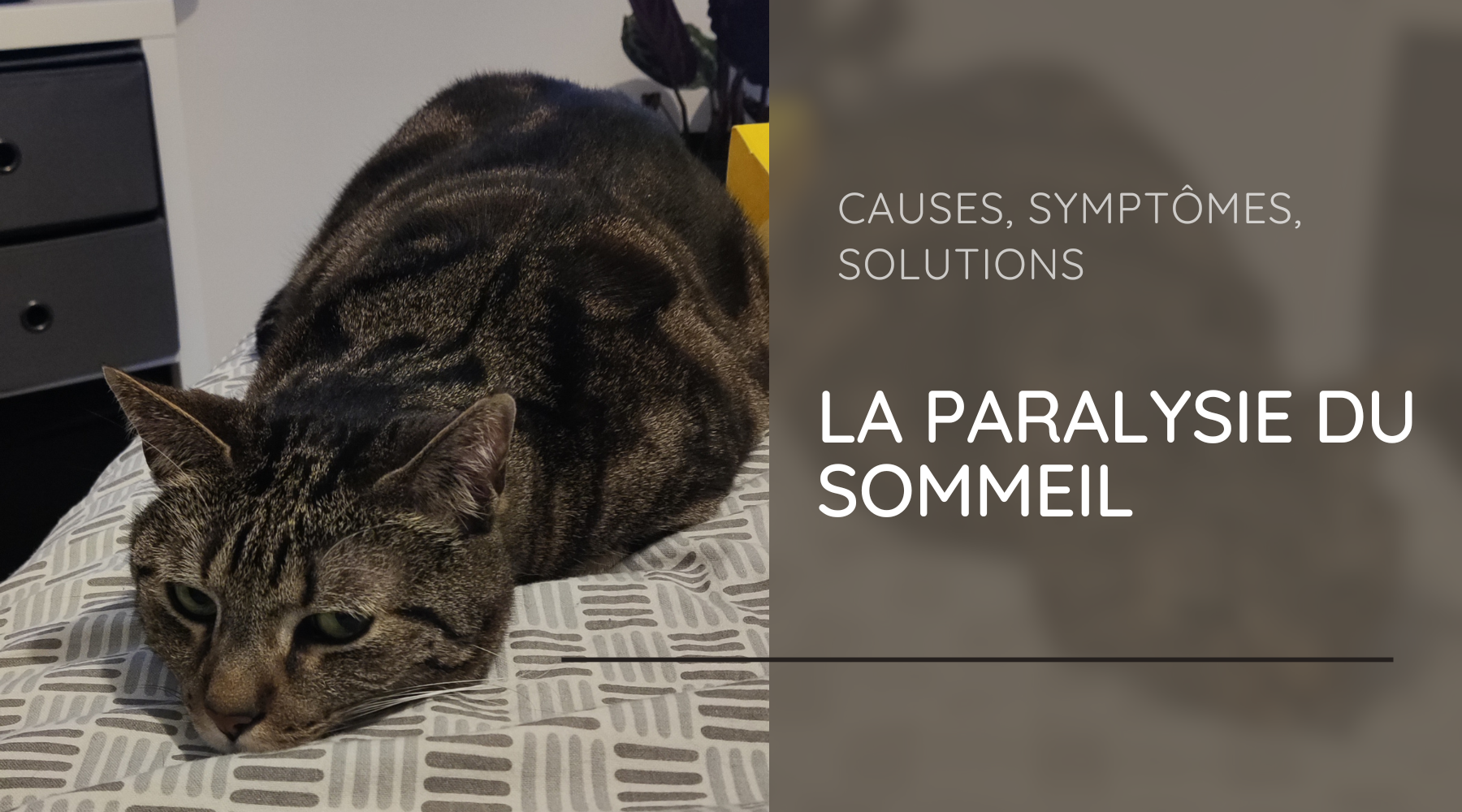 Paralysie du sommeil : Causes, symptômes et solutions