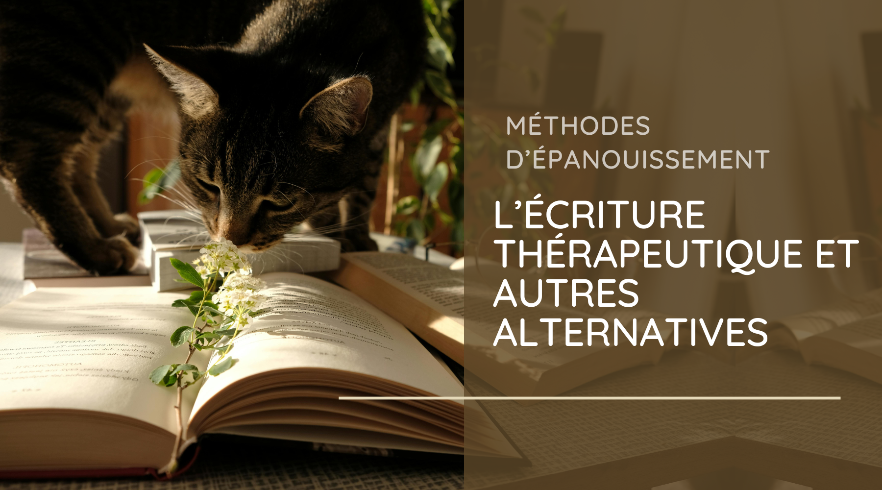 Méthodes d’épanouissement : l’écriture thérapeutique et 4 autres approches alternatives