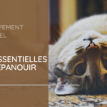 Développement personnel : 6 clés essentielles pour s’épanouir pleinement