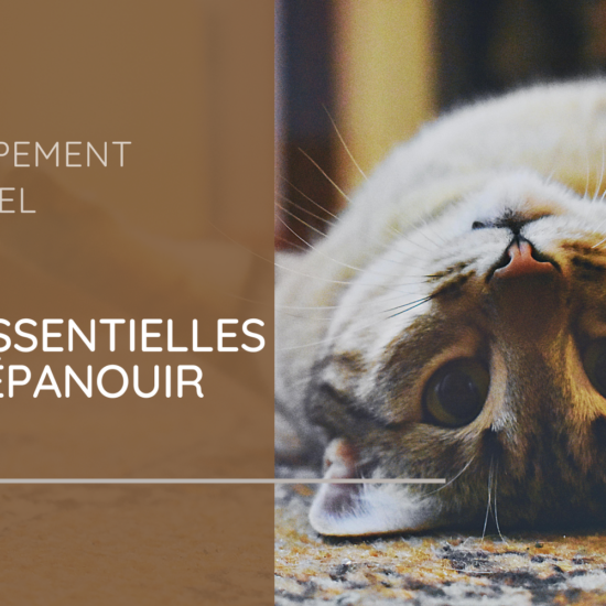 Développement personnel : 6 clés essentielles pour s’épanouir pleinement