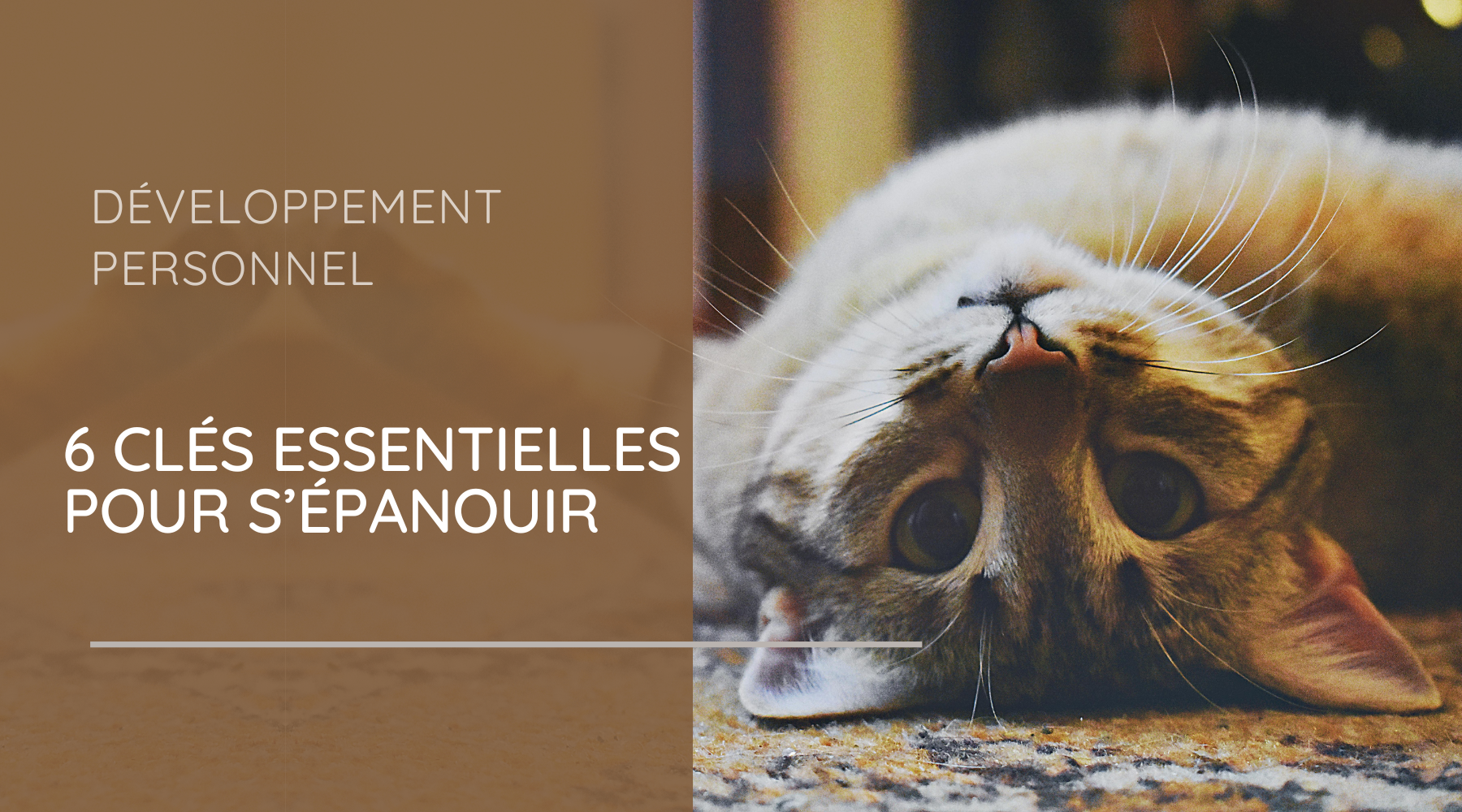 Développement personnel : 6 clés essentielles pour s’épanouir pleinement