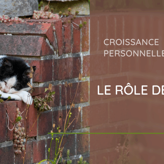 Échec et Croissance Personnelle : Apprendre à Rebondir