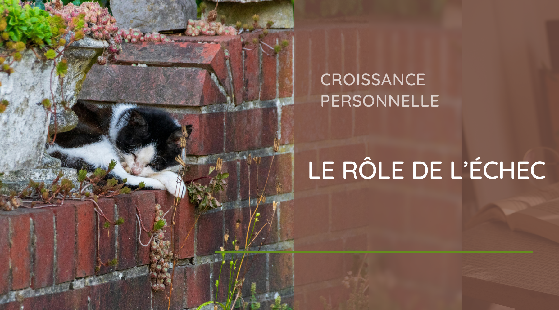 Échec et Croissance Personnelle : Apprendre à Rebondir